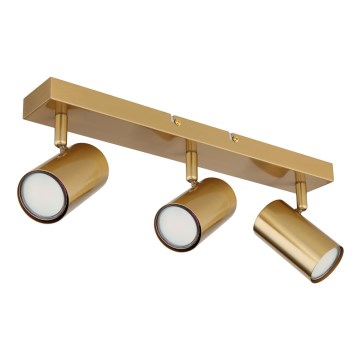 Globo - Foco 3xGU10/35W/230V dourado