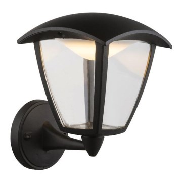 Globo - Iluminação de parede exterior LED LED/7W/230V IP54