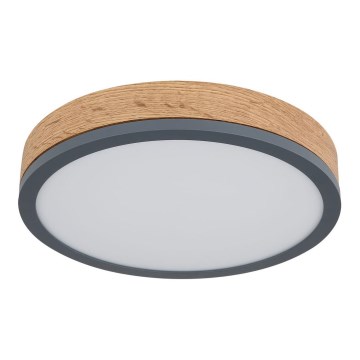 Globo - Iluminação de teto LED LED/12W/230V d. 30 cm