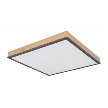 Globo - Iluminação de teto LED LED/24W/230V