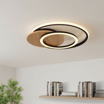 Globo - Iluminação de teto LED LED/24W/230V preto