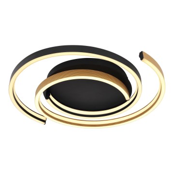 Globo - Iluminação de teto LED LED/38W/230V