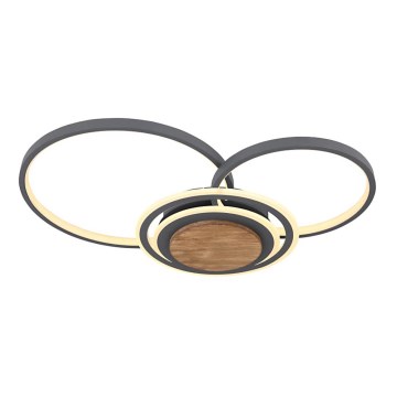 Globo - Iluminação de teto LED LED/40W/230V