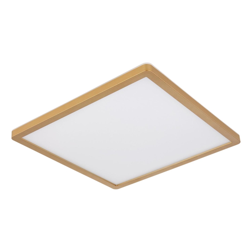 Globo - Iluminação de teto para casa de banho LED com regulação LED/18W/230V 3000K IP44 29,4x29,4 cm latão