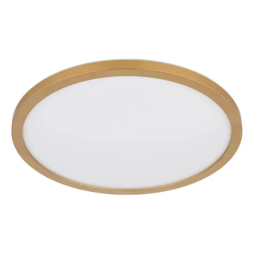 Globo - Iluminação de teto para casa de banho LED com regulação LED/18W/230V 3000K IP44 diâmetro 29,4 cm latão