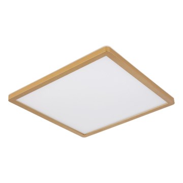 Globo - Iluminação de teto para casa de banho LED com regulação LED/24W/230V 3000K IP44 42x42 cm latão