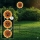 Globo - Lâmpada solar LED com 200 LEDs/3V IP44 600 mAh em forma de flor