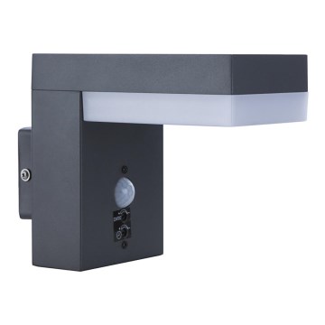 Globo - Luminária de parede exterior LED com sensor LED/9,5W/230V IP44