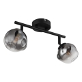 Globo - Luminária spot 2xG9/5W/230V