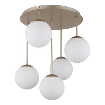 Globo - Lustre de tecto sobreposto 5xE14/25W/230V latão