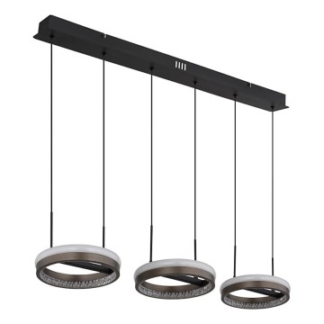 Globo - Lustre LED suspenso em cabo LED/40W/230V 3000/4000/6000K