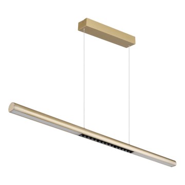 Globo - Lustre LED suspenso por cabo LED/24W/230V 3000K