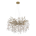 Globo - Lustre suspenso por cabo 10xE14/40W/230V dourado