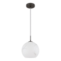 Globo - Lustre suspenso por cabo 1xE27/60W/230V Ø 25 cm