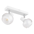 Globo - Spot 2xE14/40W/230V branco