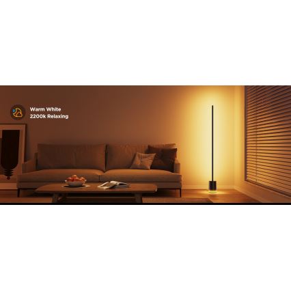 Govee - Candeeiro de chão LED com regulação Smart MATTER LED RGBICWW 2200-6500K Wi-Fi + comando