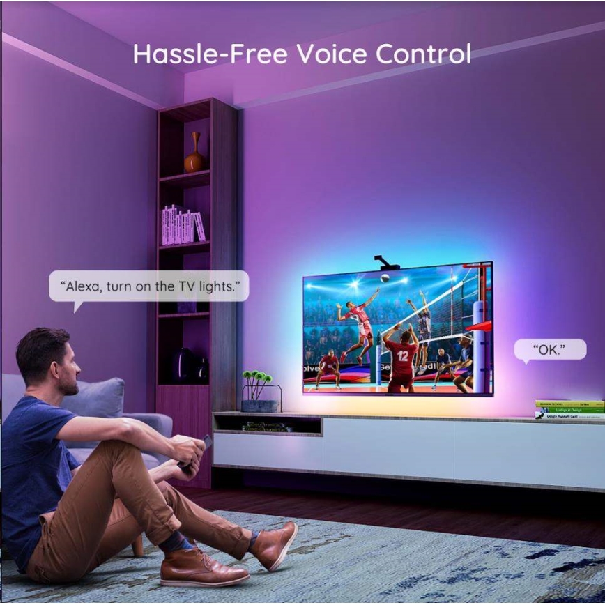 Govee - DreamView TV 55-65 SMART LED retroiluminação RGBIC Wi-Fi