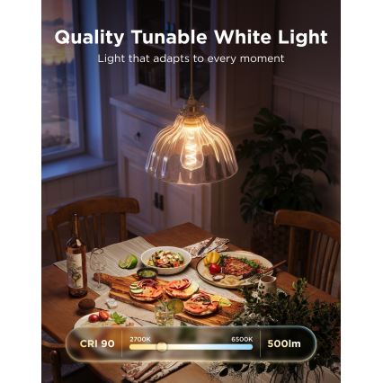 Govee - Lâmpada LED RGBWW regulável Smart MATTER ST64 E27/5W/230V 2700-6500K Wi-Fi