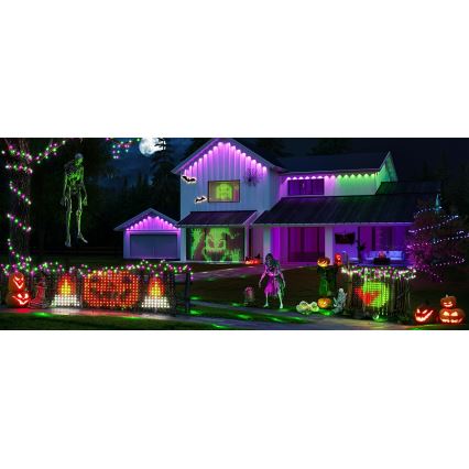 Govee - LED RGBIC Rede luminosa para exterior 143x85cm Wi-Fi Matter IP65