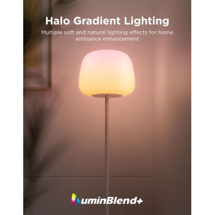 Govee - LED RGBICWW Candeeiro de pé dimerizável LANTERN MATTER LED/24W/230V Wi-Fi 160 cm