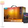 Govee - LED RGBICWW Candeeiro de pé dimerizável LANTERN MATTER LED/24W/230V Wi-Fi 160 cm