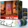 Govee - LED RGBWIC Guirlanda de luzes de Natal para exterior 2700-6500K 30m Wi-Fi Matter IP65