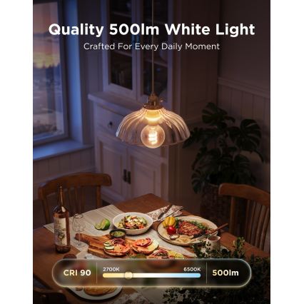 Govee - Lâmpada LED RGBWW regulável Smart MATTER G80 E27/5W/230V 2700-6500K Wi-Fi