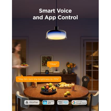 Govee - Lustre pendente dimerizável LED RGBICWW em cabo, 21W, 230V, compatível com Matter e Wi‑Fi