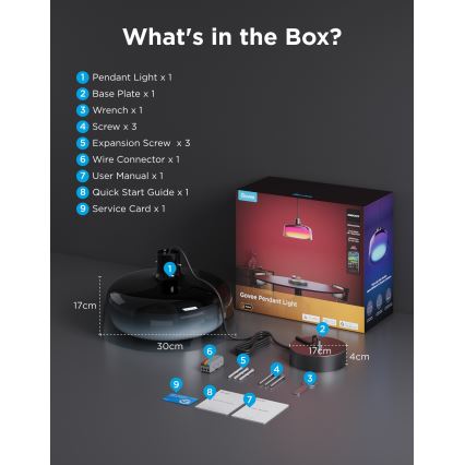 Govee - Lustre pendente dimerizável LED RGBICWW em cabo, 21W, 230V, compatível com Matter e Wi‑Fi