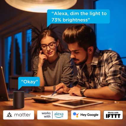 Govee - Conjunto de 2 lâmpadas LED reguláveis Smart MATTER A60 E27/9W/230V 2700-6500K Wi-Fi