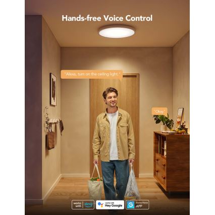 Govee - Luminária de teto dimerizável LED RGBICWW/29W/230V, Ø 30 cm, acabamento mate, Wi-Fi