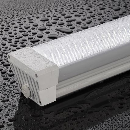 Greenlux GXWP171 - Luminária LED técnica fluorescente DUST PROFI LED/55W/230V 4200K IP66