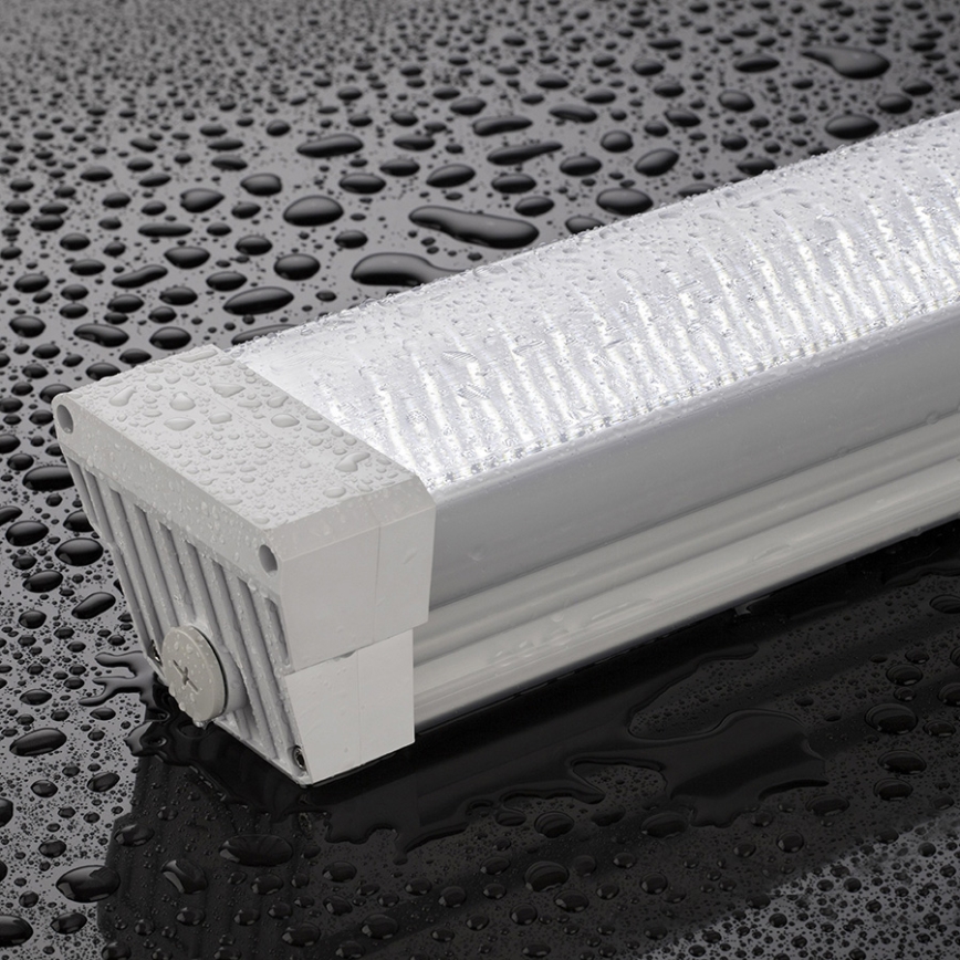 Greenlux GXWP171 - Luminária LED técnica fluorescente DUST PROFI LED/55W/230V 4200K IP66