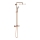 GROHE 26075DA0 - Sistema de duche EUPHORIA 310 bronze