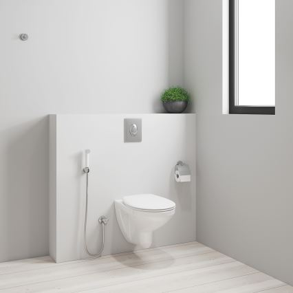 GROHE 26356IL0 - Ducha manual para bidé TEMPESTA-F 30 1250 mm branca