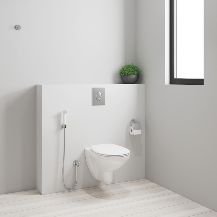 GROHE 26356IL0 - Ducha manual para bidé TEMPESTA-F 30 1250 mm branca