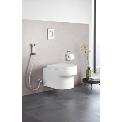 GROHE 27514001 - Ducha manual para bidé TEMPESTA-F TRIGGER SPRAY 30, 36 mm, cromado