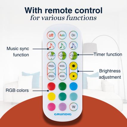 Grundig - Candeeiro de pé LED RGBW dimerizável LED/6W/230V + controlo remoto