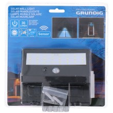 Grundig - Iluminação solar com sensor LED 1xLED/0,25W/1xAA