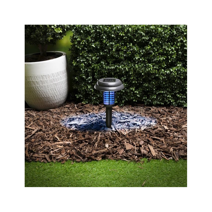 Grundig - Lâmpada Solar LED e Armadilha para Insetos com LED UV, 1xAA, 600 mAh, IPX4