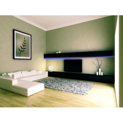Grundig - Tira LED RGB com regulação 3m LED/12W/230V + controlo remoto