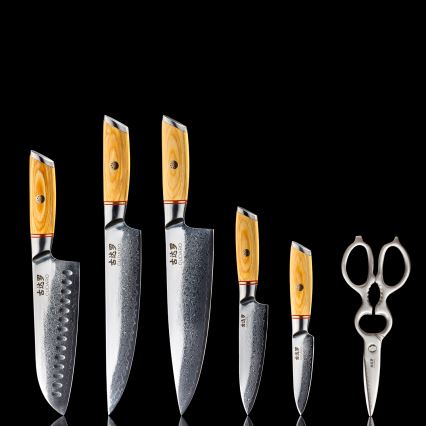 Gudaro - Conjunto de 5 facas de cozinha em aço damasco HIKARI + suporte para facas e tesoura para aves