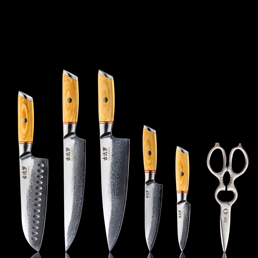 Gudaro - Conjunto de 5 facas de cozinha em aço damasco HIKARI + suporte para facas e tesoura para aves