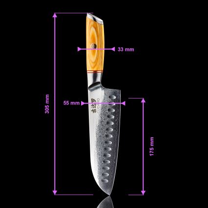 Gudaro - Conjunto de 5 facas de cozinha em aço damasco HIKARI + suporte para facas e tesoura para aves