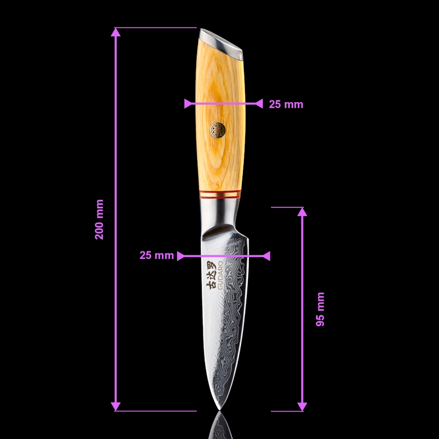 Gudaro - Conjunto de 5 facas de cozinha em aço damasco HIKARI + suporte para facas e tesoura para aves
