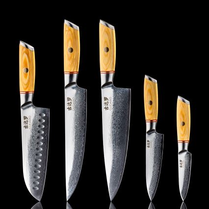 Gudaro - Conjunto de 5 facas de cozinha em aço Damasco HIKARI + suporte magnético