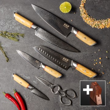 Gudaro - Conjunto de 5 facas de cozinha em aço damasco HIKARI + suporte para facas e tesoura para aves