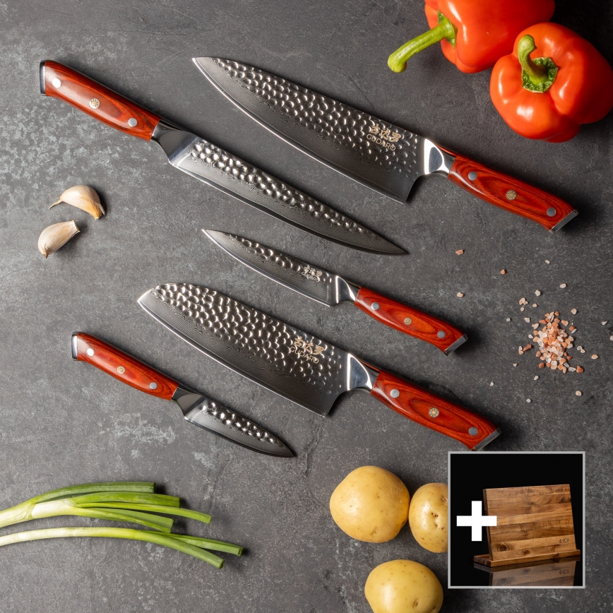 Gudaro - Conjunto de 5 facas de cozinha em aço Damasco MIYABI + suporte magnético