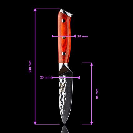 Gudaro - Conjunto de 5 facas de cozinha em aço damasco MIYABI + suporte magnético para facas