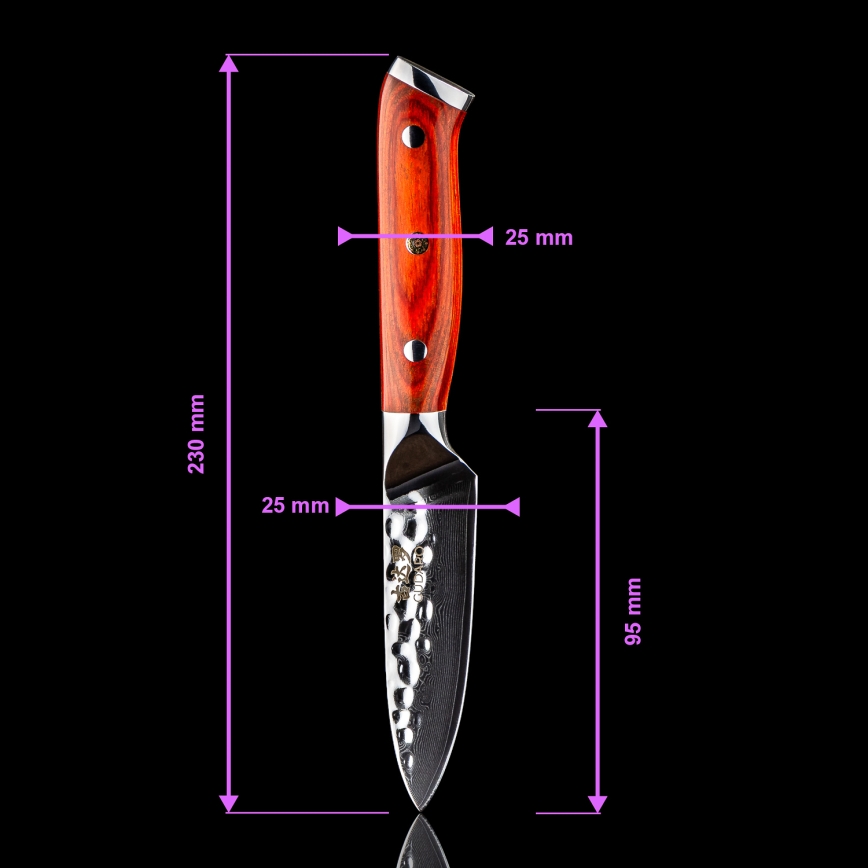Gudaro - Conjunto de 5 facas de cozinha em aço damasco MIYABI + suporte magnético para facas